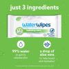 imageWaterWipes Hydrating Clean Baby Wipes 99 WaterBased Formula with Aloe Vera to Hydrate ampamp Clean Skin Unscented ampamp Hypoallergenic 60 Count 1 Pack1 Count Pack of 60