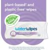 imageWaterWipes Soothing Clean Baby Wipes 99 WaterBased Formula with Botanical Extract to Soothe ampamp Protect Skin Unscented ampamp Hypoallergenic 60 Count 1 Pack1 Count Pack of 360